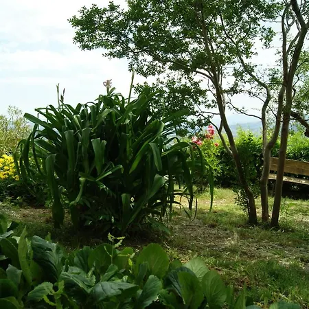 B&B Il Querceto-2